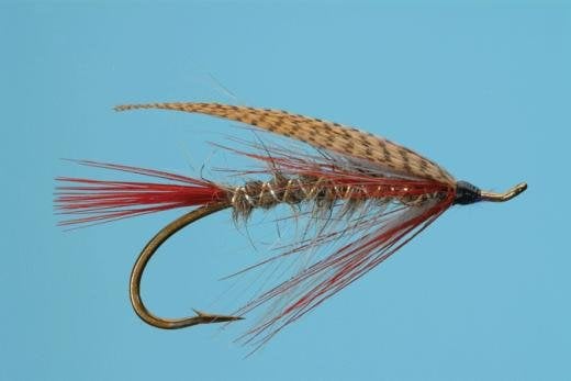 Lady Carolyn fly