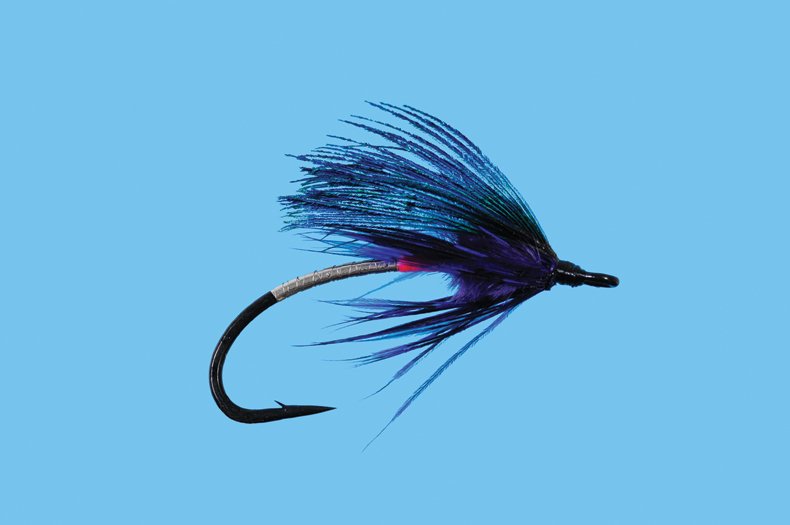 Summerberry fly