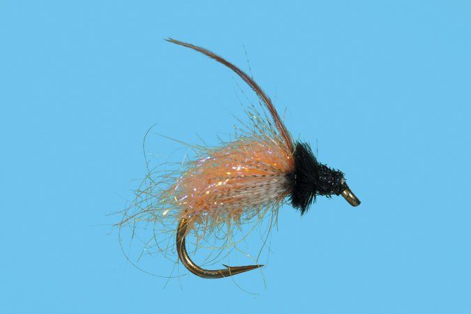 Solitude Caddis - October | Oregon October Caddis fly fishing pattern