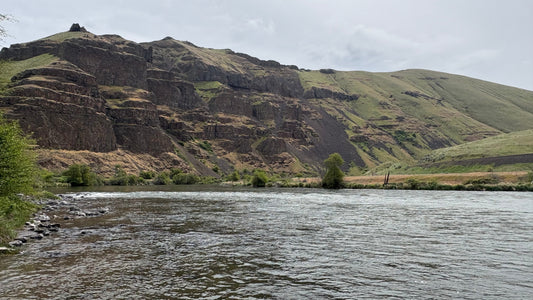 May Steelhead Fishing