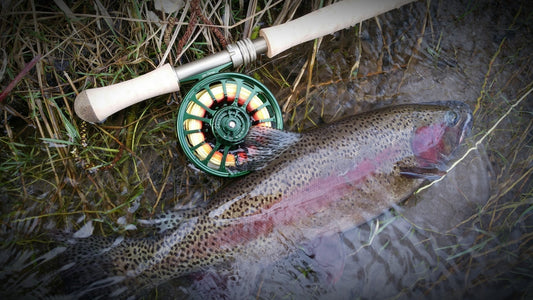 Trout Spey: A Lighter Way to Stay in the Swing Game
