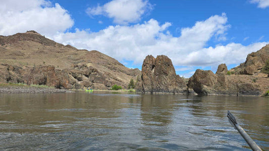 John Day Fall Steelhead