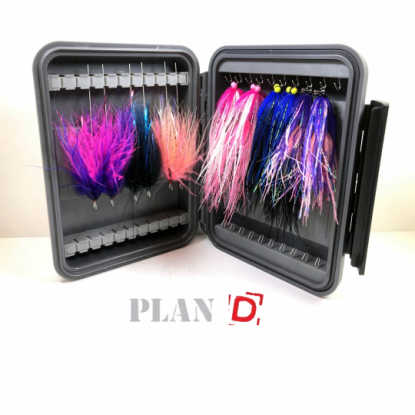 Plan D