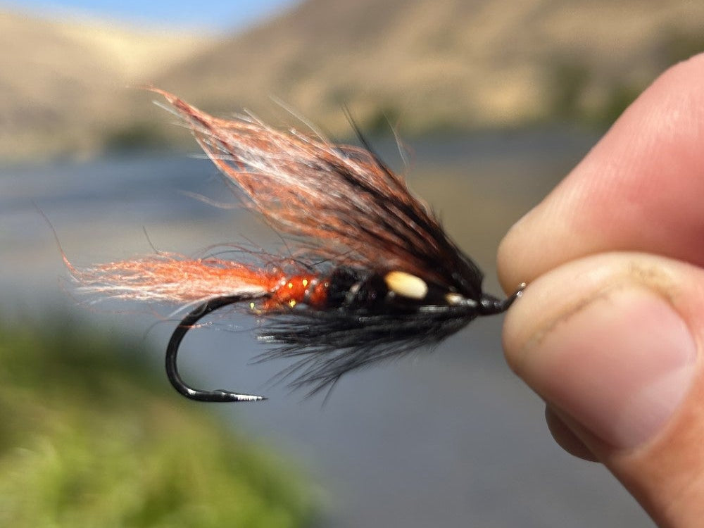 Mack's Canyon - Jungle Cock eyes