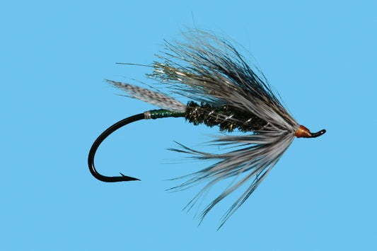 Bennet's Halo fly