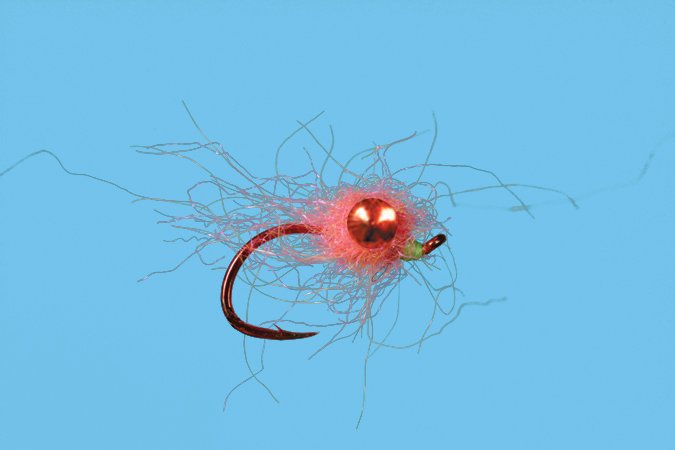 Chewy Egg - Sherbet fly