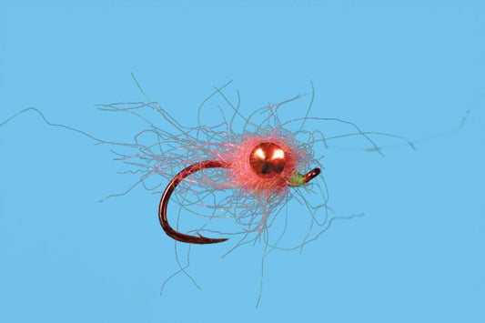 Chewy Egg - Sherbet fly