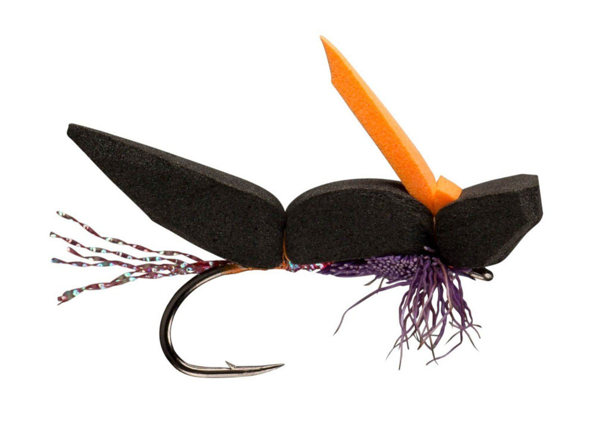 Morrish Pom Skater 2.0 - Nightshade